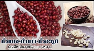 โครงการหลวง