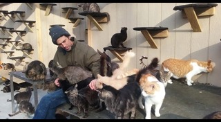 อินสตาแกรมแมว