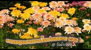 เที่ยววังน้ำเขียว