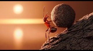 ข้อคิดเตือนใจ