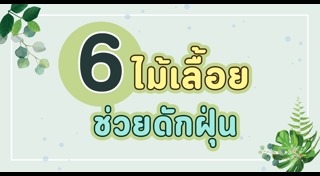 พันธุ์ไม้