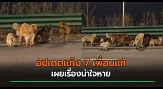 ข่าวจีน