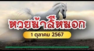 ม้าสีหมอก