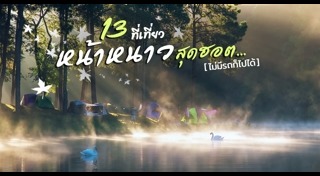 ไม้ดอกปลูกหน้าหนาว