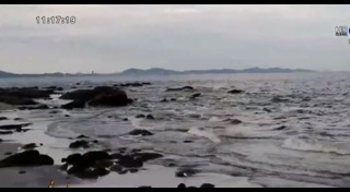 ขี้ปลาวาฬ