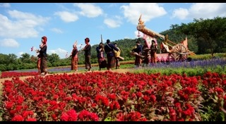 จิม ทอมป์สัน ฟาร์ม