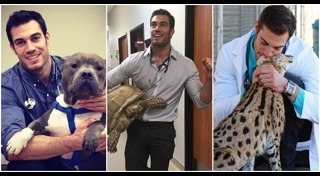 คนกับแมว