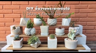DIY กระถางต้นไม้