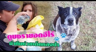 หมาช่วยเด็ก