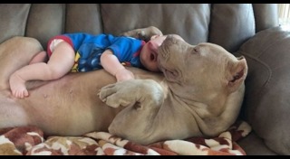 เด็กกับหมา