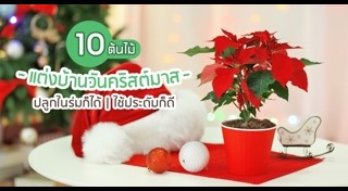 แต่งบ้านวันคริสต์มาส