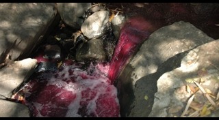 หนองบัวลำภู