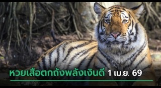ข่าวหวย