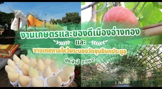 เที่ยวอ่างทอง