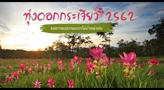 ที่เที่ยวชัยภูมิ