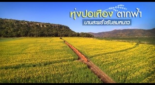 เที่ยวนครสวรรค์