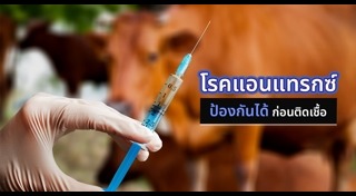 แอนแทรกซ์