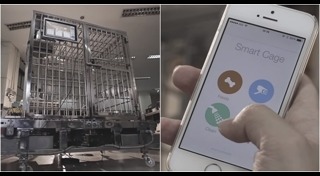 ของใช้สุนัข