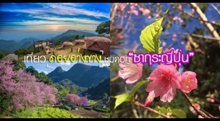 ดอยอ่างขาง