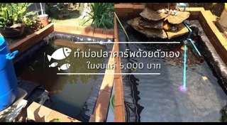 บ่อปลาในสวน