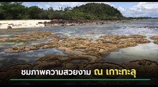 ปะการัง