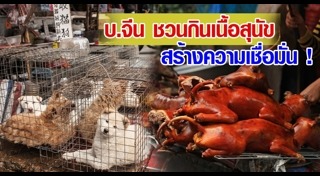 กินหมาที่จีน