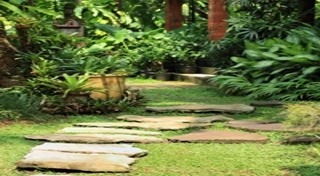 วิธีดูแลสวน