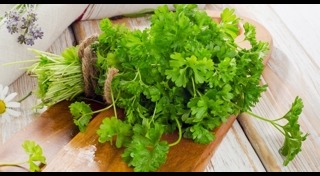 ผักชีฝรั่ง