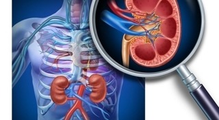 อาหารผู้ป่วยโรคไต