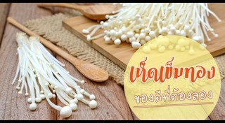 เห็ดเข็มทอง