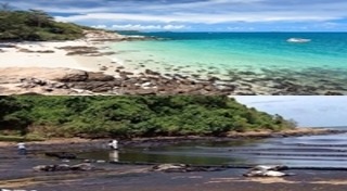 น้ำมันรั่วเกาะเสม็ด