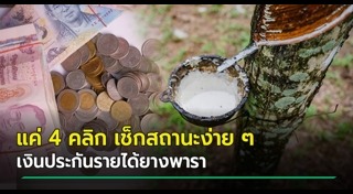 ยางพารา