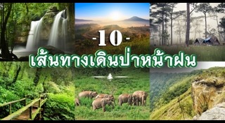 เดินป่าหน้าฝน