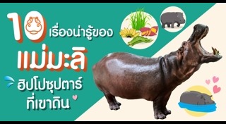 เที่ยวเขาดิน