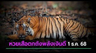 เลขเด็ดงวดนี้