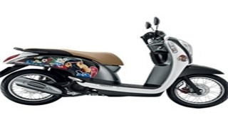 honda scoopy i