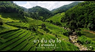 นาขั้นบันได