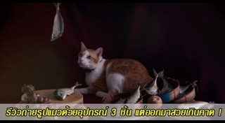 อุปกรณ์เลี้ยงสัตว์