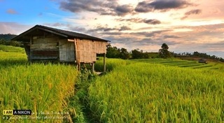 แม่กลางหลวง