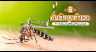 กับดักยุง