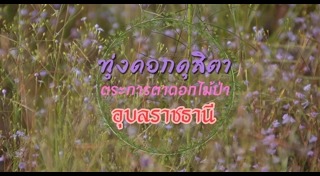 ที่เที่ยวออสเตรีย