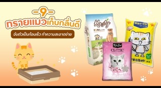 ทรายแมว