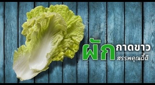 ผักกาดขาว