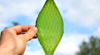 ออกซิเจน