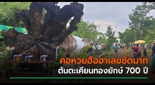 ต้นตะเคียน