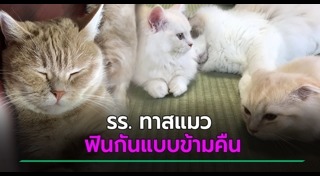 โรงแรมแปลก