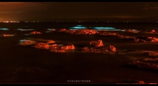 เที่ยวบางแสน