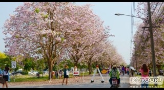 ที่เที่ยวสกอตแลนด์