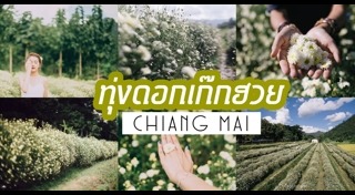 ที่เที่ยวออสเตรีย