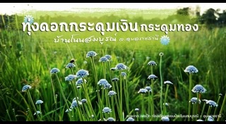 เที่ยวอุบลราชธานี